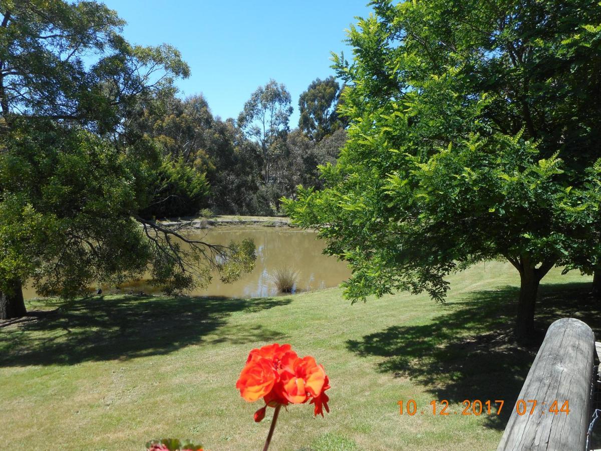 Wurrung B & B - The Cottage Woodend Exterior photo