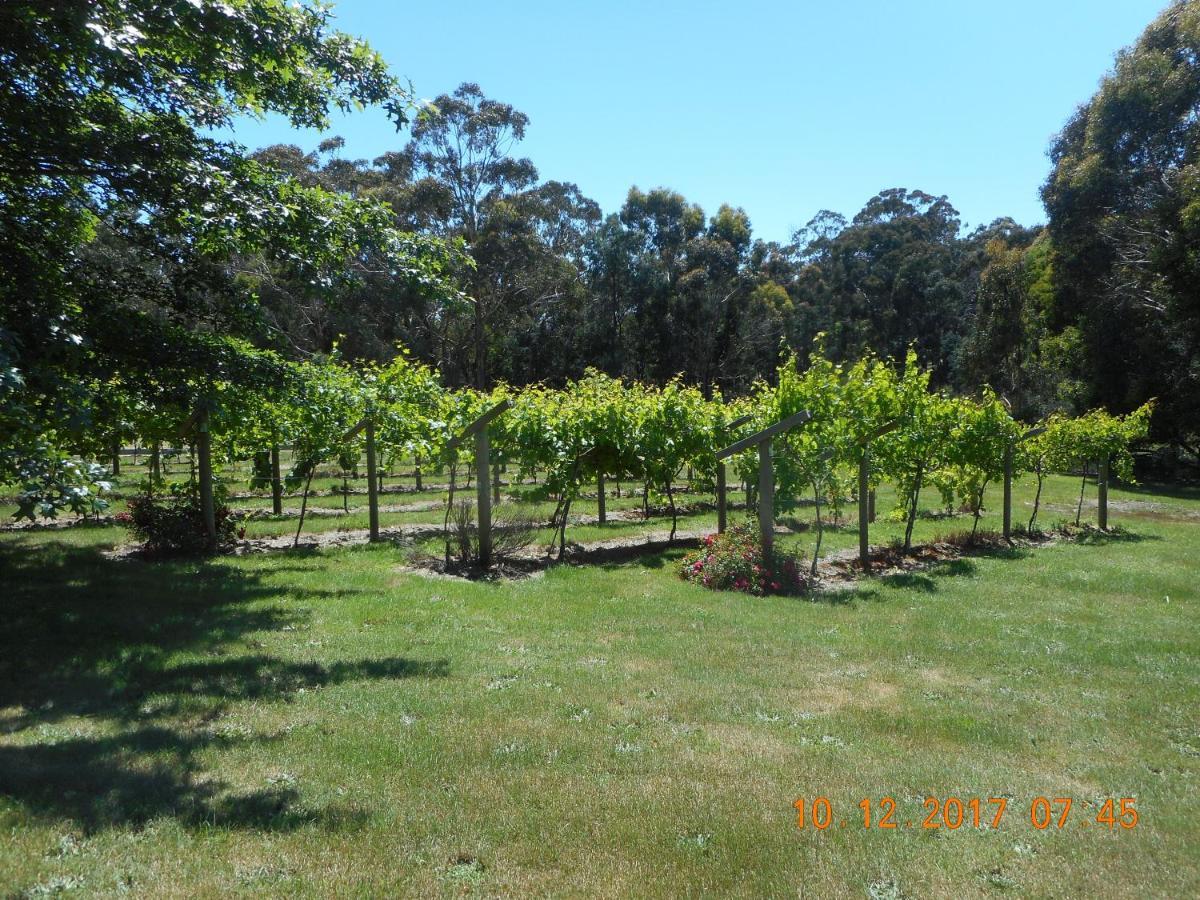 Wurrung B & B - The Cottage Woodend Exterior photo