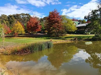 Wurrung B & B - The Cottage Woodend Exterior photo
